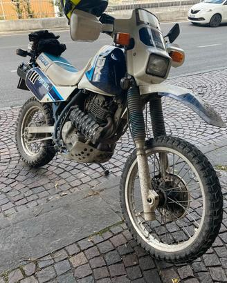 Suzuki DR600 Djebel