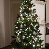 Albero di Nalate 180x100