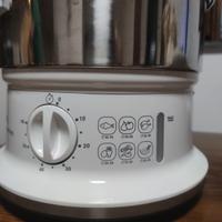 Tefal Vaporiera Convenient series 