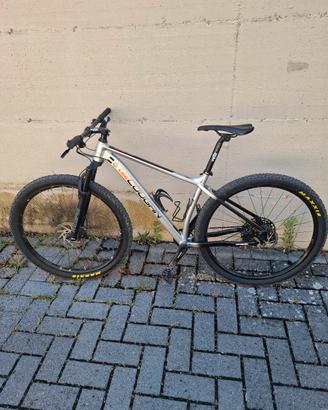 Mountain bike