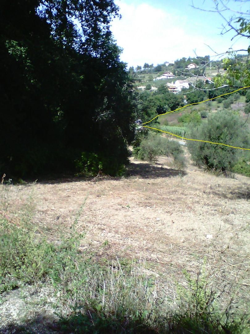 Terreno agricolo - Vista 3