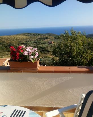 Camerota appartamento vista mare