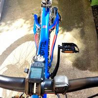 Mountain-bike Bulls