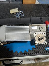 Motore elettrico Minimotor 