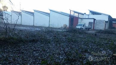 CAPANNONE INDUSTRIALE INDIPENDENTE 2600 Mq COPERTI