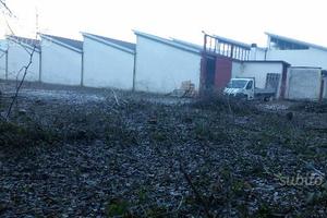CAPANNONE INDUSTRIALE INDIPENDENTE 2600 Mq COPERTI