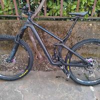 Canyon strive cf7