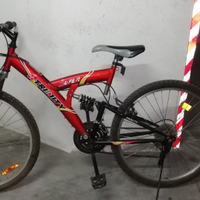 Mountain bike