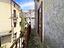 Immagine 16