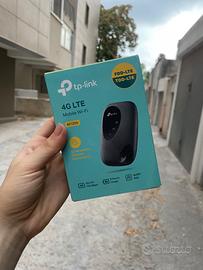 Saponetta TP link per Internet