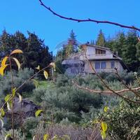 Villa o villino - Troina