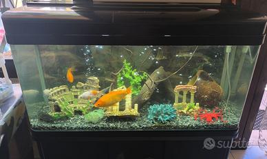 acquario panoramico
