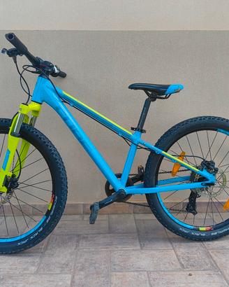 MTB bambino Cube acid 240 disk