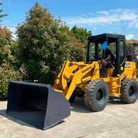 P149 PALA GOMMATA 45 Q.LI VENIERI SNODATA