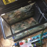 Acquario terrario completo