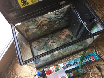 Acquario terrario completo