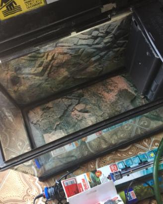 Acquario terrario completo