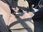 Immagine 6