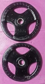 Coppia di dischi da 25kg