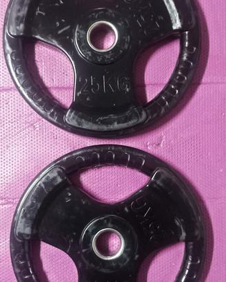 Coppia di dischi da 25kg