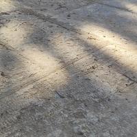 Chianche pugliesi autentiche 