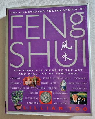 libro,FENG SHUI