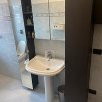 Mobile arredo bagno con specchiera contenitore