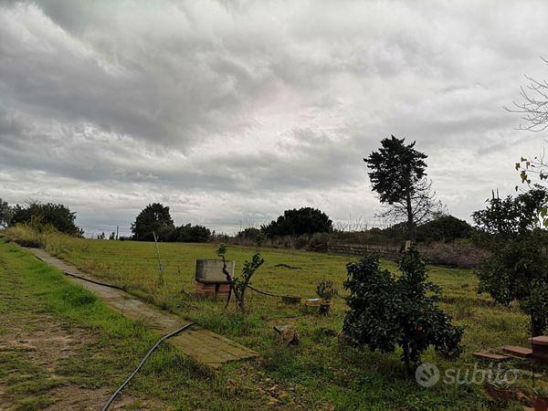 Rustico c/2 con ampio terreno di 4250 mq - Vista 5