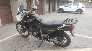 Honda XL 600 V Transalp