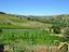 Immagine 25