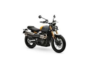 Triumph Scrambler 900