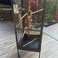 Gabbia per pappagalli