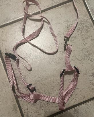 Guinzaglio regolabile per gatto