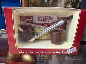 Pipa Falcon