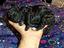 Immagine 1