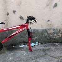 bici mtb smp storm S 