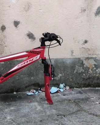 bici mtb smp storm S 