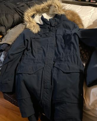 Parka blu ragazza hollistar