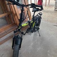 Bici elettrica