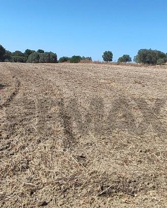 Terreno - Caltagirone