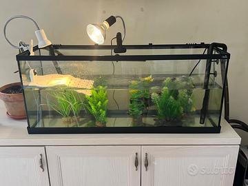 Set professionale per tartaruga, acquario, ecc