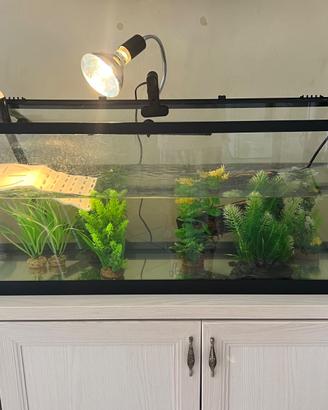 Set professionale per tartaruga, acquario, ecc