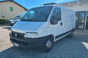 Fiat DUCATO FRIGO ***Motore Rifatto***