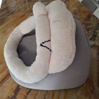 cuccetta per gattino