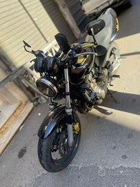 Honda hornet