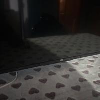 Tcl 65 pollici tv