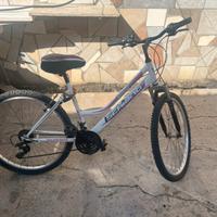 Mountainbike 26 pollici femminile