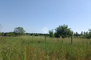 TER. AGRICOLO A LONGIANO