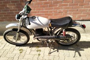 Beta  kross