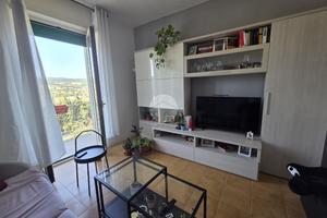 3 LOCALI A CAMPOBASSO